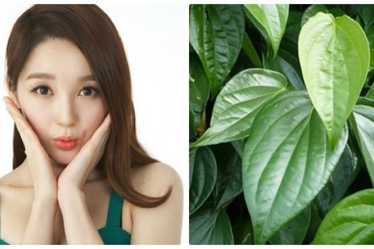 Trị nám da nhờ lá trầu