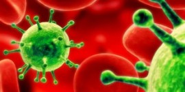 Những nguy hiểm của Virus Mers và cách phòng chống