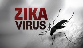 2 bệnh nhân nhiễm virus Zika ở Khánh Hòa và Thành phố Hồ Chí Minh