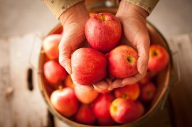 Ăn táo mỗi ngày sẽ giúp bạn sống lâu hơn