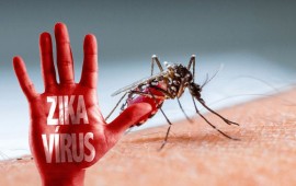 Một phụ nữ Hàn Quốc bị nhiễm virus Zika sau khi về từ Việt Nam