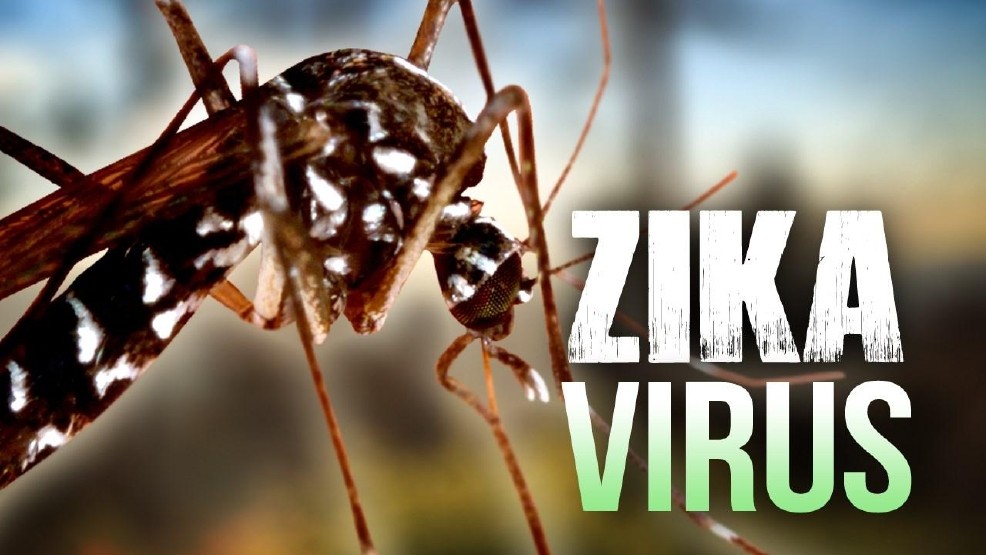 Zika, virus Zika, nhiễm virus Zika