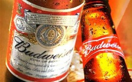 Những lợi ích của bia dành cho sức khỏe