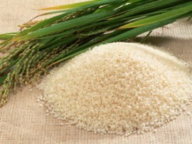 Gạo ngâm hóa chất – Nguy hiểm tiềm tàng