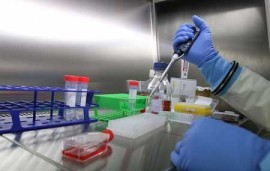 Vắc-xin Ebola an toàn trong giai đoạn thử nghiệm đầu tiên