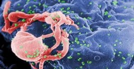 Nam phi chi  2.2 tỉ đô la cho thuốc HIV trong hai năm tới