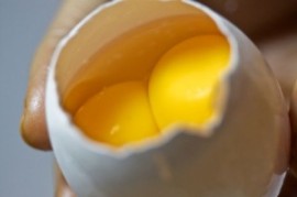 Mật độ dinh dưỡng của trứng gà hai lòng