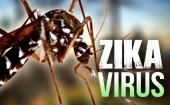 46 người nhiễm Zika tại TPHCM