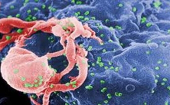 Nam phi chi  2.2 tỉ đô la cho thuốc HIV trong hai năm tới