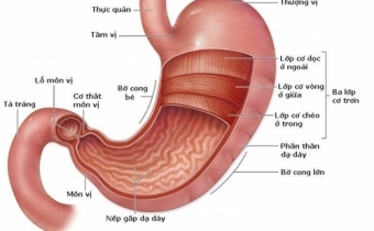 Những điều làm và không nên làm khi bị đau dạ dày